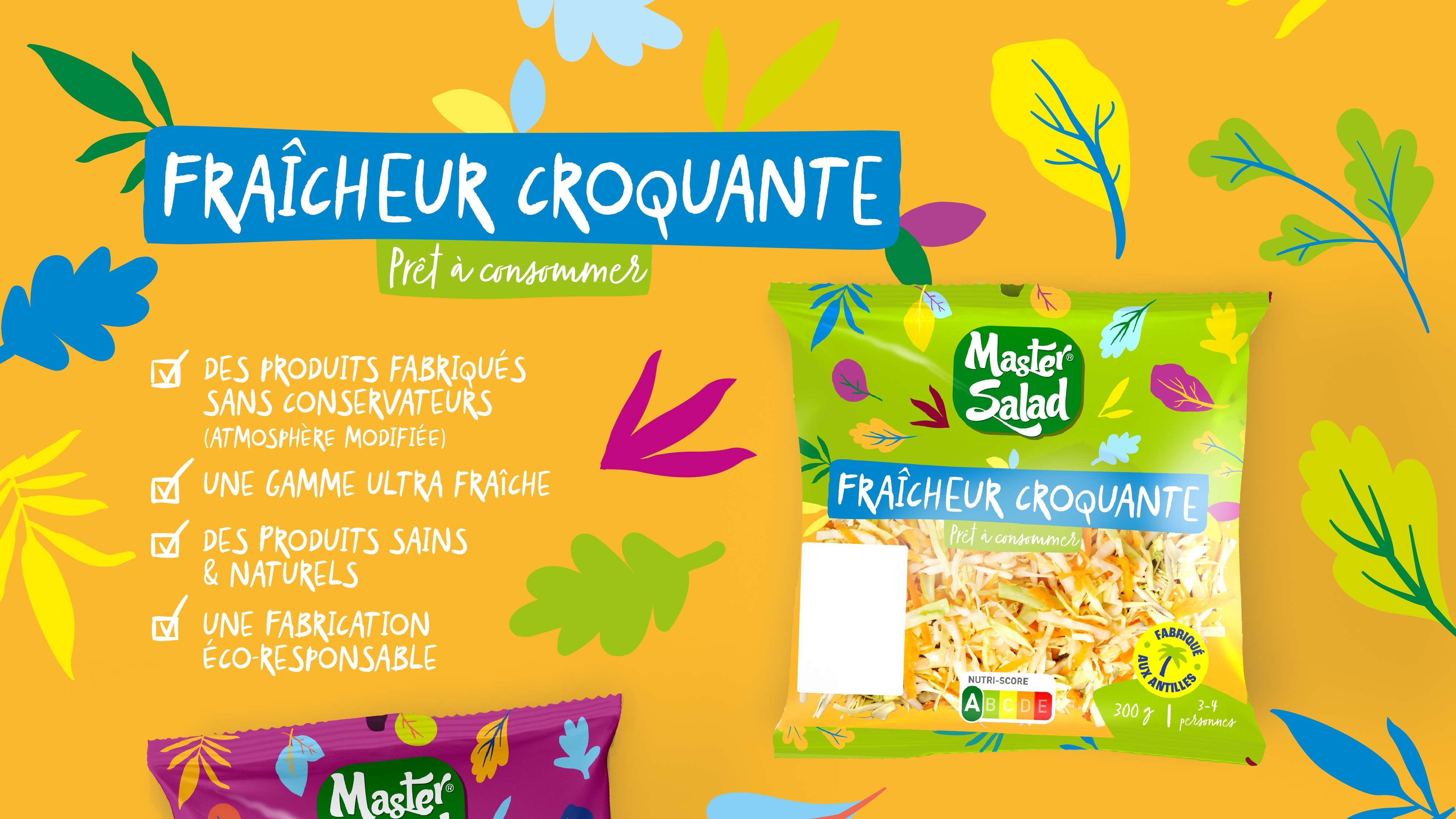 Sachet de salade Fraîcheur Croquante refait par Point Cardinal sur un fond jaune, en top view, entouré d’un motif végétal et la mise en avant de la dénomination du produit