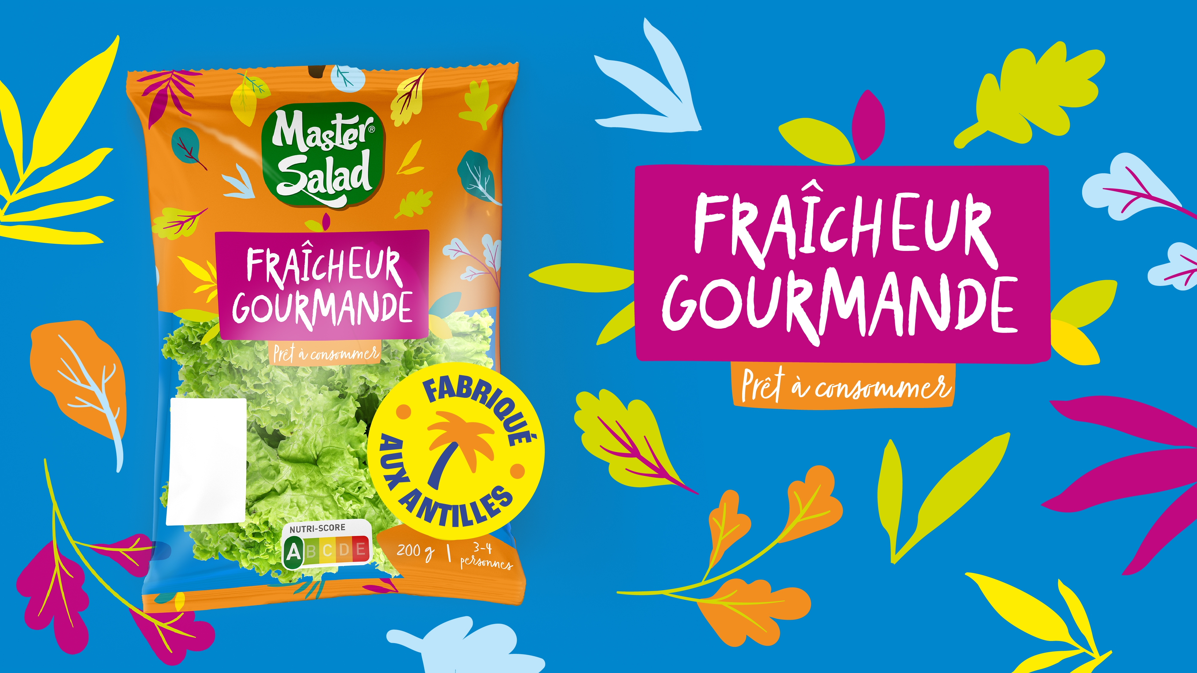 Sachet de salade Fraîcheur Gourmande refait par Point Cardinal sur un fond bleu, en top view, entouré d’un motif végétal et la mise en avant du pictogramme ”Fabriqué aux Antilles” et de la dénomination du produit