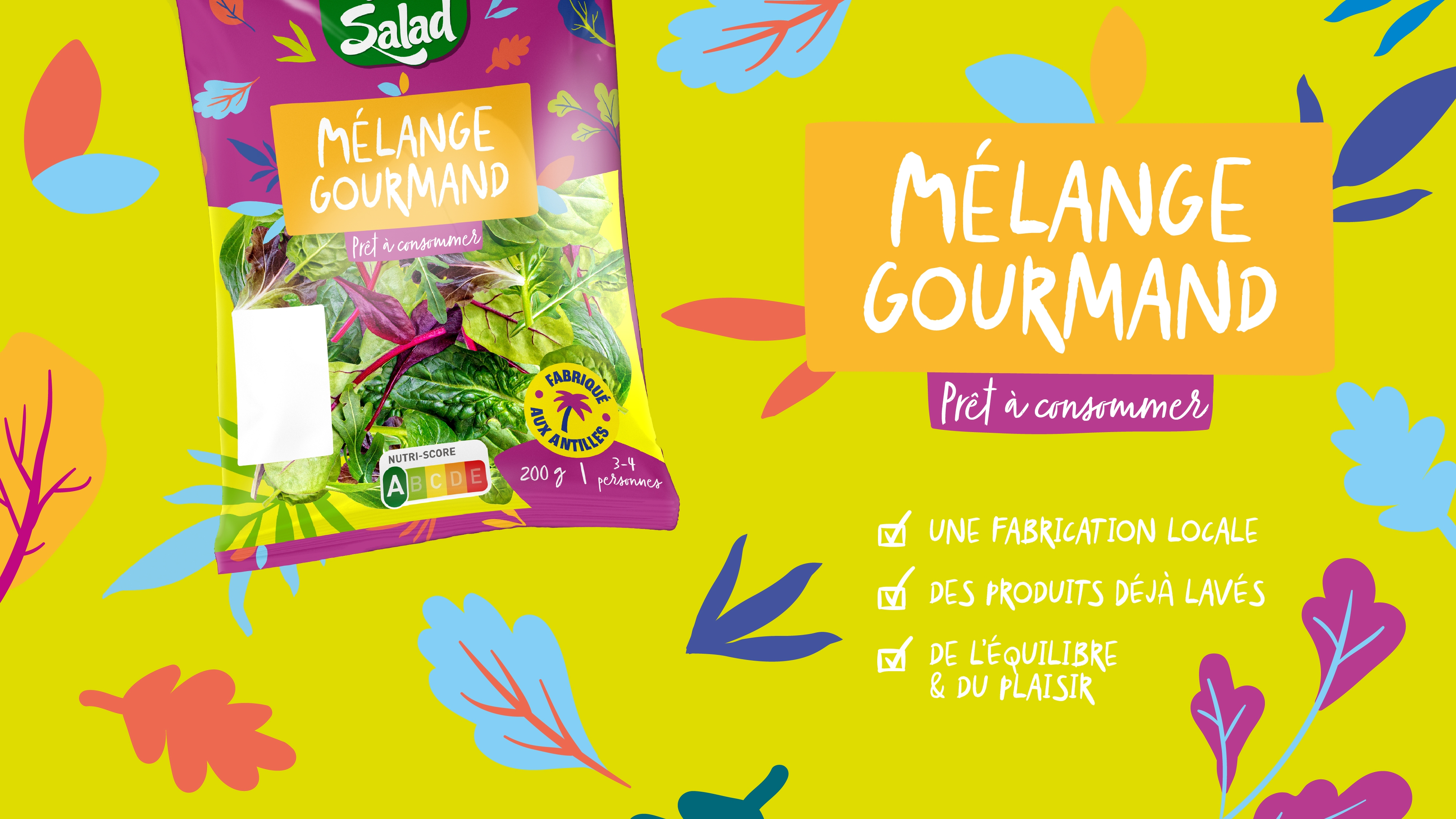 Sachet de salade Mélange gourmand refait par Point Cardinal sur un fond vert, en top view, entouré d’un motif végétal et la mise en avant de la dénomination du produit