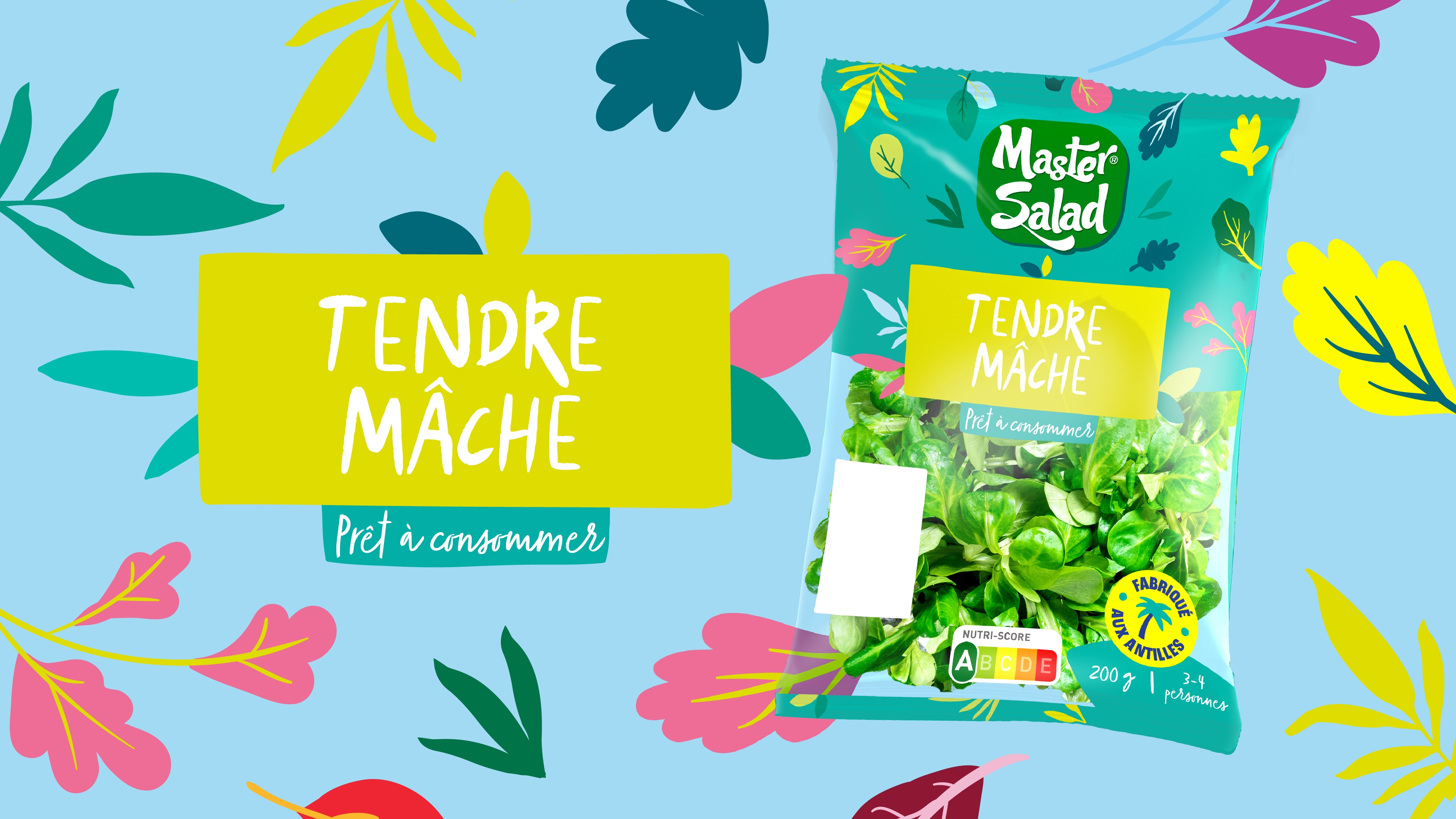 Sachet de salade Tendre mâche refait par Point Cardinal sur un fond bleu, en top view, entouré d’un motif végétal et la mise en avant de la dénomination du produit